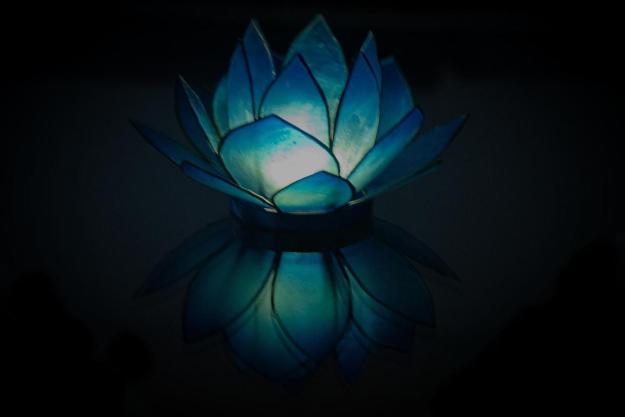 Blue Lotus Apartment Виена Екстериор снимка